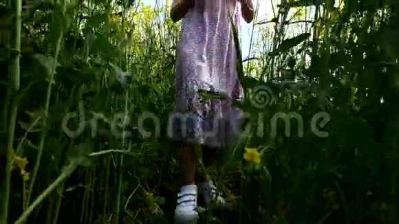 穿着裙子的小女孩手里拿着气球穿过黄色麦田视频的预览图
