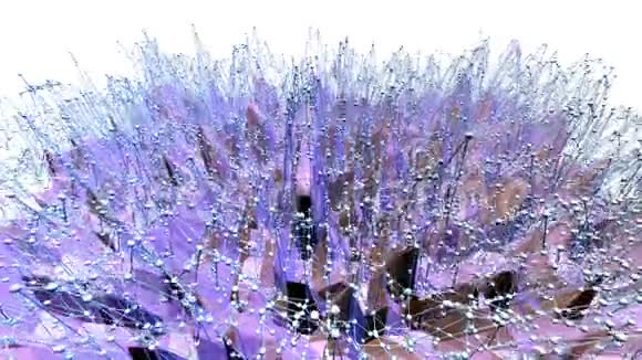 紫罗兰抽象的低聚波面作为景观或晶体结构紫罗兰抽象几何振动视频的预览图