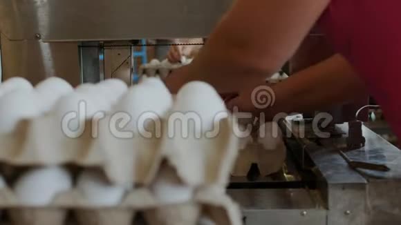 在分类鸡工厂员工将生鸡蛋装入纸箱托盘视频的预览图