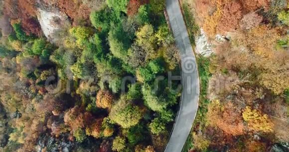 高空俯视道路在五彩缤纷的乡村秋林秋天的橙色绿色黄色的红色树林视频的预览图