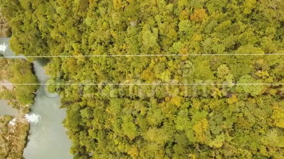 菲律宾博霍尔丛林中的高空滑索视频的预览图