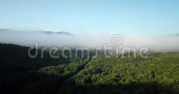 史诗般的空中飞行通过山云在日出美丽的早晨视频的预览图