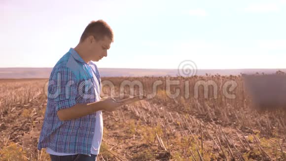 农民聪明的农业人阅读或分析收获向日葵在平板电脑上的农业领域的报告与视频的预览图