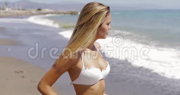 穿着泳装在海滩上摆姿势的模特视频的预览图