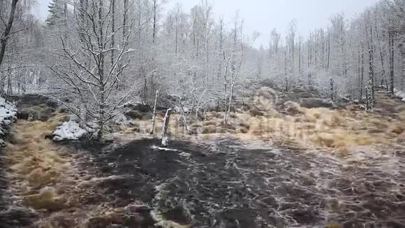大雪纷飞的冬天狂野的莫鲁姆河视频的预览图