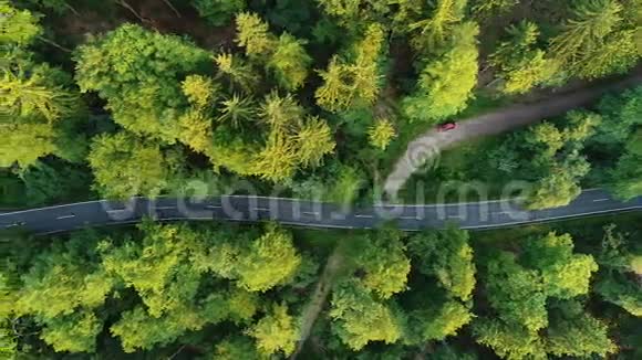 穿过森林的道路的鸟瞰图视频的预览图