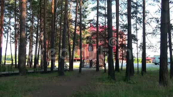 俄罗斯新烈士和忏悔寺视频的预览图