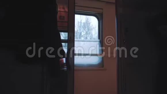 概念火车旅程旅行美丽的风景从窗口移动的生活方式火车铁路旅行俄罗斯冬季视频的预览图