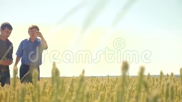 老二农夏人麦田里跑麦面包慢动作视频农民生态观念视频的预览图