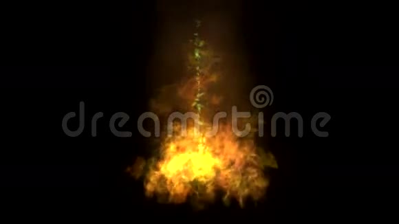 火焰动画背景视频的预览图