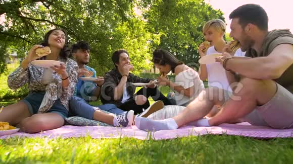 快乐的朋友在夏季野餐时吃三明治视频的预览图