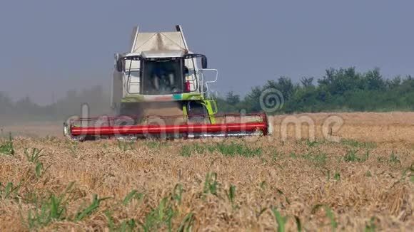 小麦地的联合收割机视频的预览图