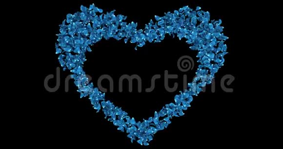 蓝色玫瑰花花瓣在心形阿尔法垫占位符环4k视频的预览图
