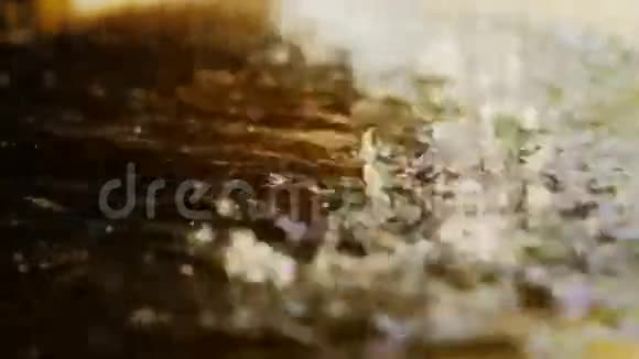 特写的滴水在阳光下视频的预览图