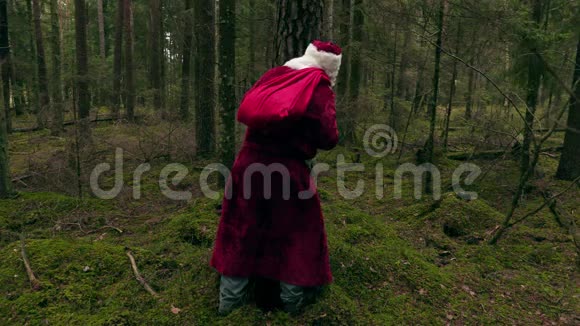 圣诞老人躲在树后面视频的预览图