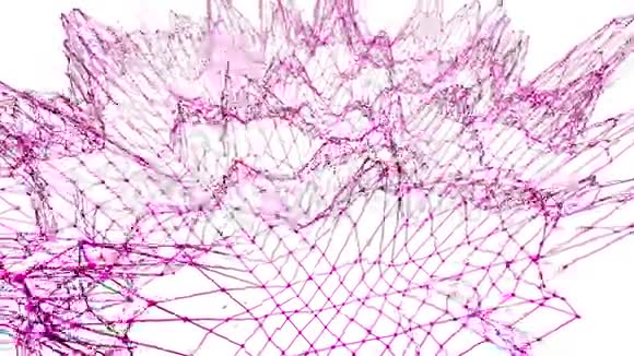 抽象简单的紫罗兰挥舞三维网格或网格作为生动的环境紫罗兰几何振动环境或脉动视频的预览图