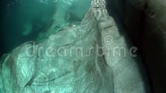在清澈的绿松石河Verzasca水下巨大的光滑石头和岩石视频的预览图