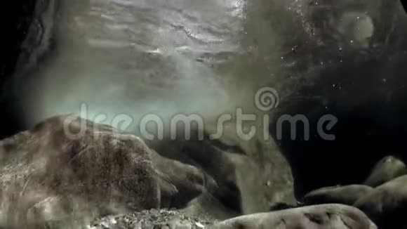 在巨大的光滑石头的背景下Verzasca河的透明水视频的预览图