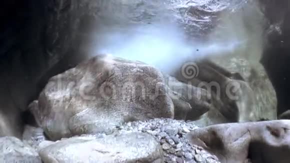 透明的韦尔扎斯卡河水下巨大光滑的石头和岩石视频的预览图
