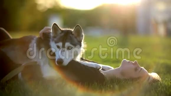 美丽的年轻女子在公园里玩有趣的哈士奇狗在日落或日出在绿草上视频的预览图