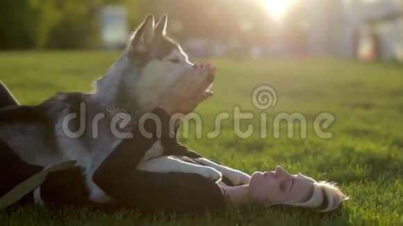 美丽的年轻女子在公园里玩有趣的哈士奇狗在日落或日出在绿草上视频的预览图