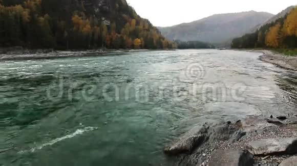 俄罗斯阿尔泰的卡顿山河视频的预览图