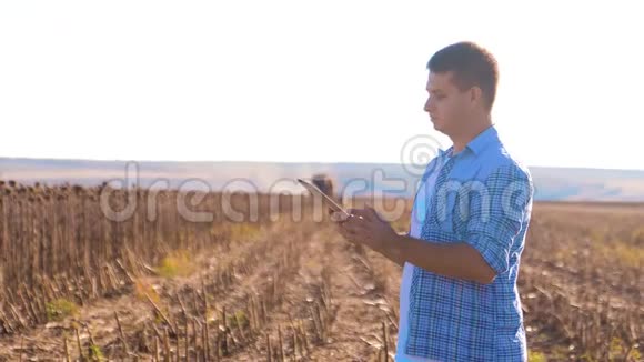 农民聪明的农业工人读书或生活方式分析收获向日葵平板电脑上的农业报告视频的预览图