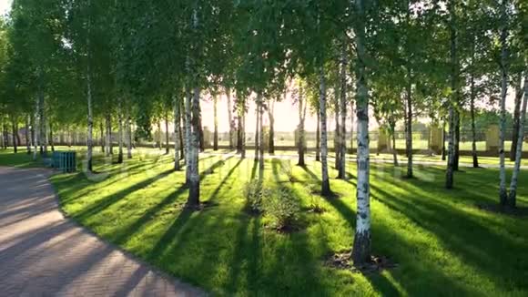 美丽大自然的夏日公园视频的预览图