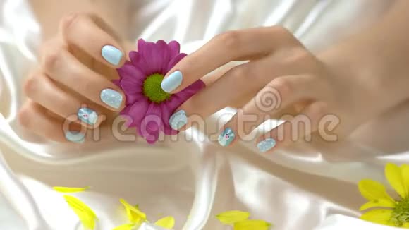 美丽的菊花在女性手中视频的预览图