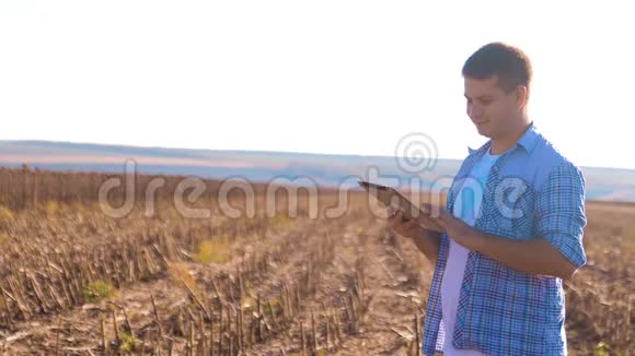农民工作聪明的农业人阅读或分析收获向日葵在农业领域的平板电脑上的报告视频的预览图
