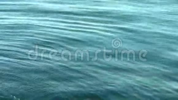 海洋水面视频的预览图
