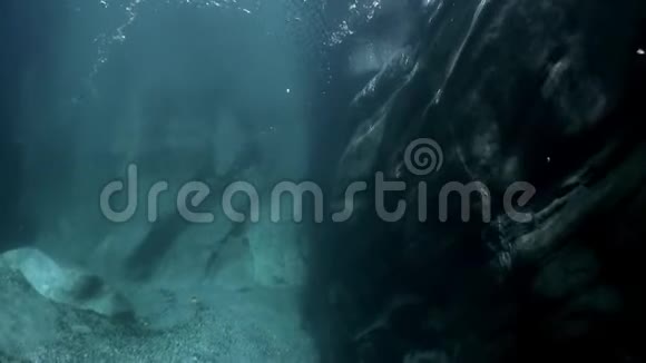 水下景观晶莹剔透的绿松石山河韦尔扎斯卡视频的预览图