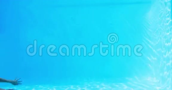 漂亮的黑发在游泳池里水下游泳视频的预览图