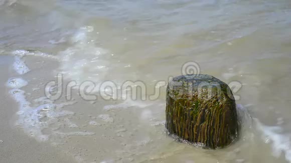 海滩上的石头在波罗的海有着柔软的海浪视频的预览图