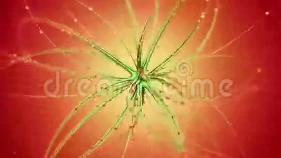 抽象扭曲的蜘蛛网视频的预览图