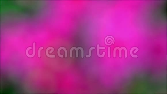 紫菊视频的预览图