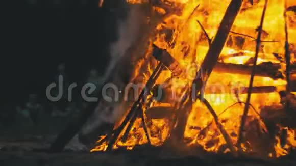 人们背景下森林中的枝干夜间燃烧的大篝火视频的预览图