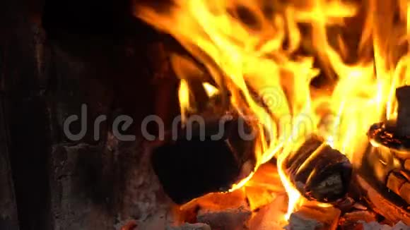 篝火的明亮火焰视频的预览图