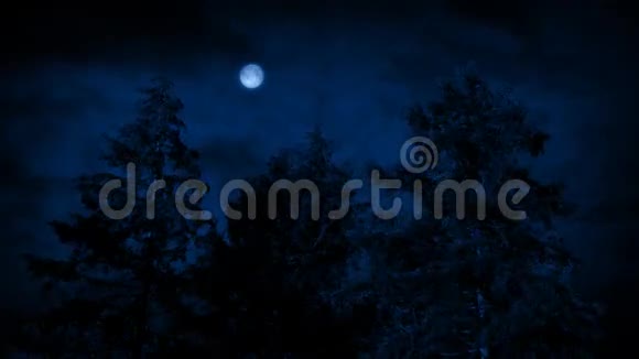 风夜的月亮和树木视频的预览图