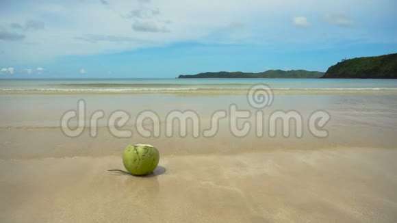 沙滩上的绿椰子视频的预览图