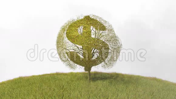 象征美元的树落叶视频的预览图