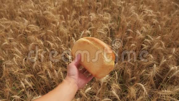 人在麦田里捧着一个金色的面包慢动作视频成功的生活方式视频的预览图