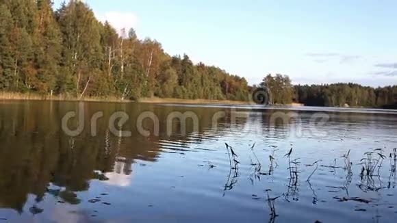 秋天美丽的湖视频的预览图