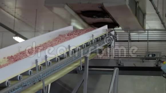 肉类和香肠加工厂工业香肠生产过程视频的预览图