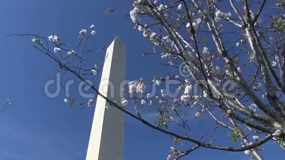 华盛顿特区的华盛顿纪念碑视频的预览图