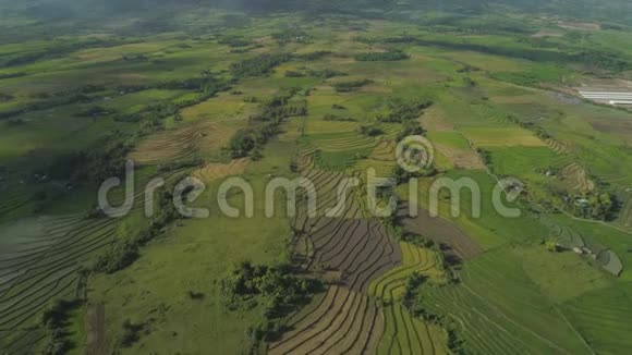 菲律宾有农田的山谷视频的预览图