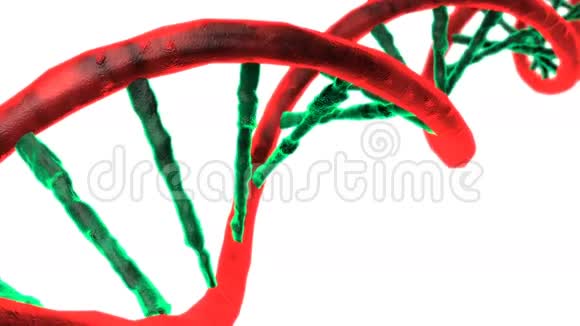 动画DNA链旋转DNA视频的预览图