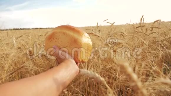 人在麦田里拿面包生活方式慢动作视频小麦领域的成功农学家收获视频的预览图