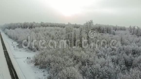 雪林中的冬季乡村道路无人驾驶飞机鸟瞰视频的预览图