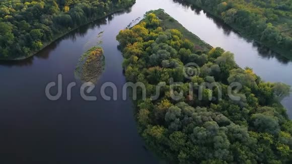 飞越河流和森林视频的预览图